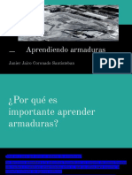 Fisica Armaduras