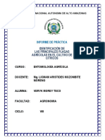INFORME IDENTIFICACION PLAGAS DE CITRICOS