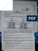 505 PracticaPulmones Bio