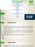 Proyecto Final de Remediacion de Suelos