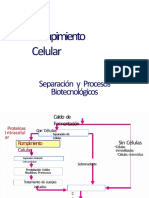 PDF Diseo de Levas 2