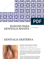 Peradangan Pada Alat Genital Wanita