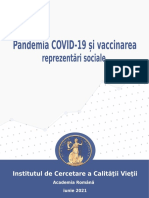 2021 Stanescu Raport Social Pandemia