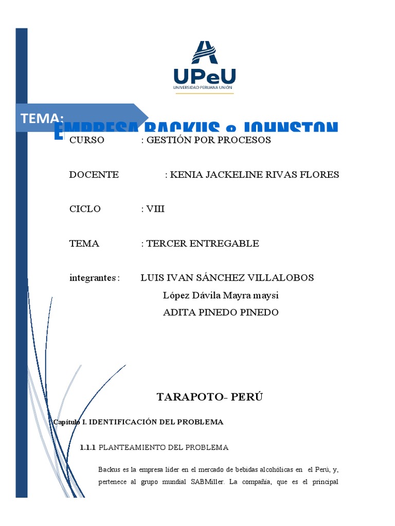 backus-pdf-business-economias