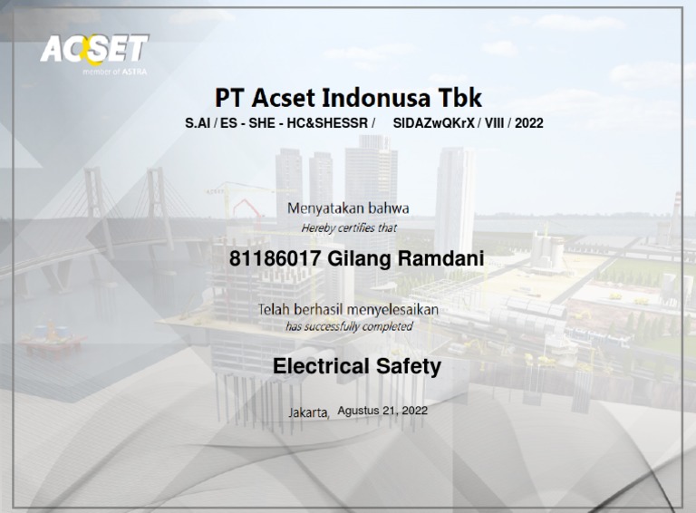 Certificate of Electrical Safety (1) PDF