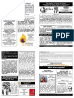 Faro 222 PDF