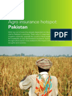 Agro Insurance Hotspot Pakistan 2017 - V2