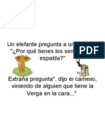 Un Elefante Pregunta A Un Camello: "¿Por Qué Tienes Los Senos en Tu Espalda?"