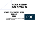 Profil Kesehatan DEPOK 2017