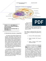 Apuntes Biologia: La Membrana Celular