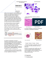 Apuntes Biologia: El Núcleo Interfásico