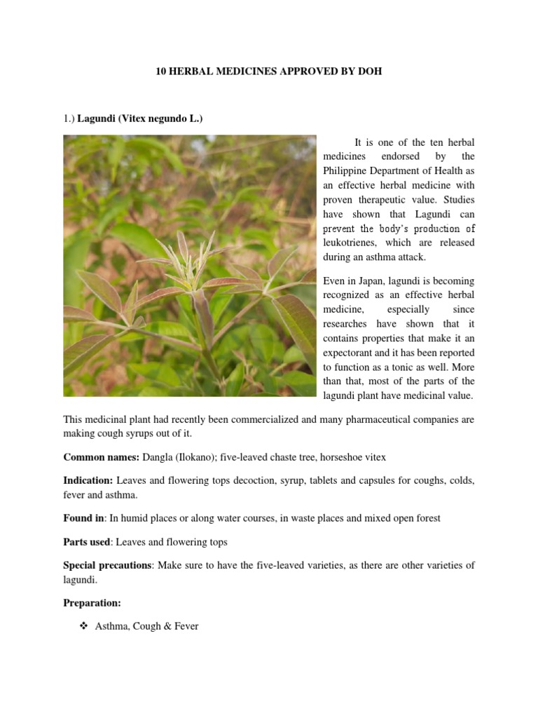 10 Herbal Medicines Approved by Doh PDF