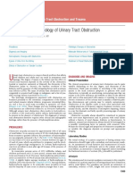 Pathophysiology of Ureinary Tract Obstruction