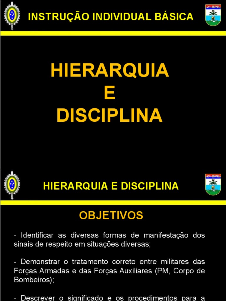 Hierarquia e Disciplina - B 101 | PDF | Militar | Ciência militar