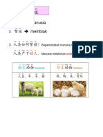 二年级科学：人类