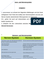 ABBs - ENDOKRINOLOGIE - Lehrer Der HORMON-Biologie - Zwischen-Fazit & Aufgaben (11.2022) - 1