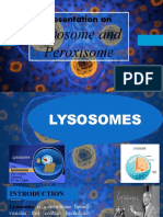 LYSOSOME