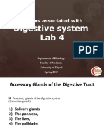 Digestive System, Lab 4