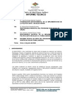Informe Tecnico Pumas Andinos Junio 2022