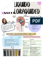 LCR - Practica 10
