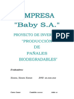 Proyecto de Inversión Eco Baby 