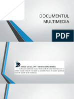 Curs 4 Documentul Multimedia