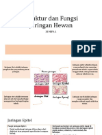 Struktur Dan Fungsi Jaringan Hewan