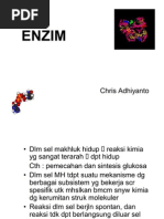 Download enzim-biokimia by Ahmad Nh SN61181992 doc pdf