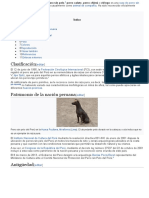 El perro peruano