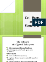 Cell Parts and Structures