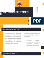 Pymes Temas 1 2