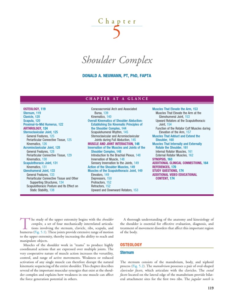 Complex Kinesiology And Kneading Reference: Shoulder Complex Kinesiology Overview Pdf