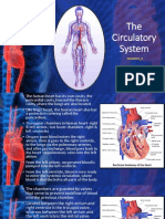 Module 9 - 4 - Circulatory System