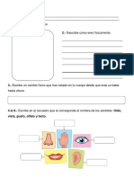 conocimiento y formacion pdf