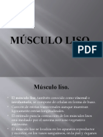 Músculo liso