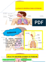 aparato respiratorio