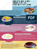 Infografia Funciones de Los Lípidos