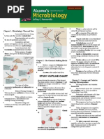 Download Study Guide by Ariane Albesa SN61184766 doc pdf