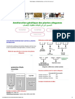 Plantes allogames. Amélioration génétique التحسين الوراثي للنباتات خلطيات الإخصاب