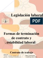 Presentacion Legislacion Act 8