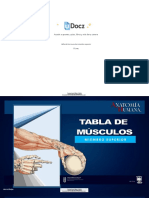 Tabla de Los Musculos Miembro Superior 205154 Downloable 1507716