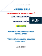 Anatomía Humana Terminologías
