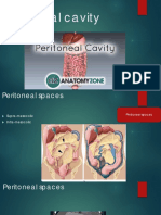 Peritoneal Cavity