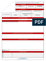 Registro de Inspecciones Internas de Seguridad y Salud en El Trabajo