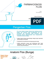 Farmakognosi - Flos Xi - Farmasi