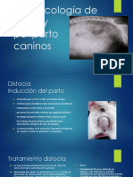 Farmacología de Parto y Periparto Caninos FA 2022