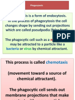 Phagocytosis 11