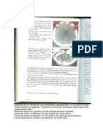 02 Pages From Nueva-medicina-germanica-Parte-I-Dr - Ryke-Geerd-Hamer