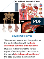 Part 1 - Types of Anatomy and Basic Anatomical Terms