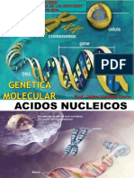 Genética Molecular. Dogma de La Biología